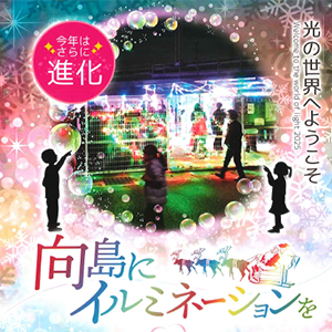 向島にイルミネーションを