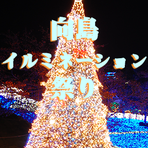 向島にイルミネーション祭り
